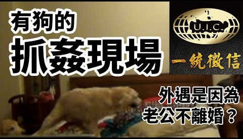 如何突破看門犬抓姦? 老公不離婚是外遇的理由? 一統徵信社【抓姦現場】